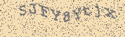 An error has occurred while getting captcha image