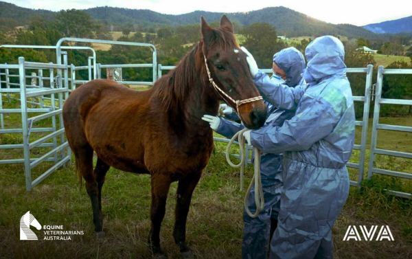 Hendra virus_Home page banner_OPtiDAM_not_working.png